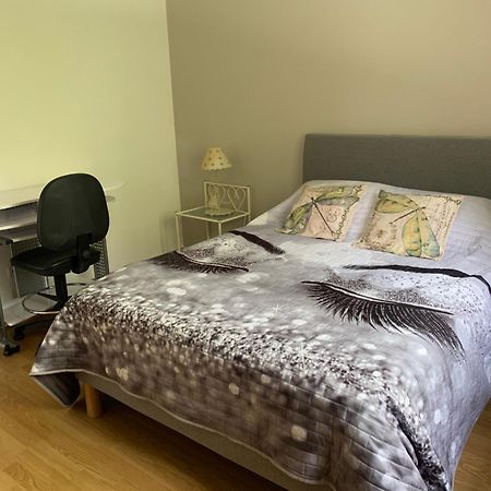 Appartement Le Domaine Des Libellules Proche Walibi Corbelin Экстерьер фото
